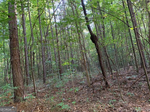 Land for sale in Toccoa, Georgia