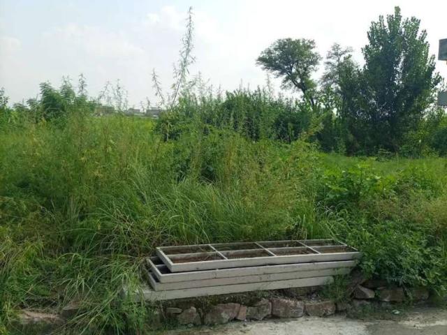 Land for sale in علی پور, زون ۴