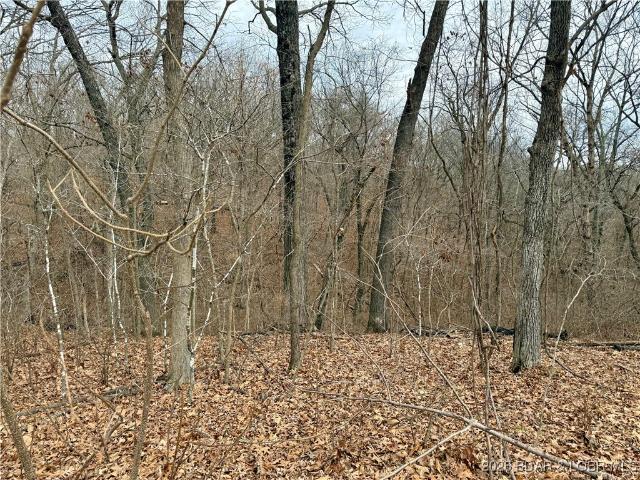 Land for sale in Stover, Missouri