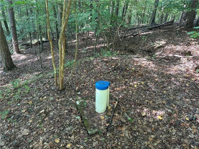 Land for sale in Dahlonega, Georgia