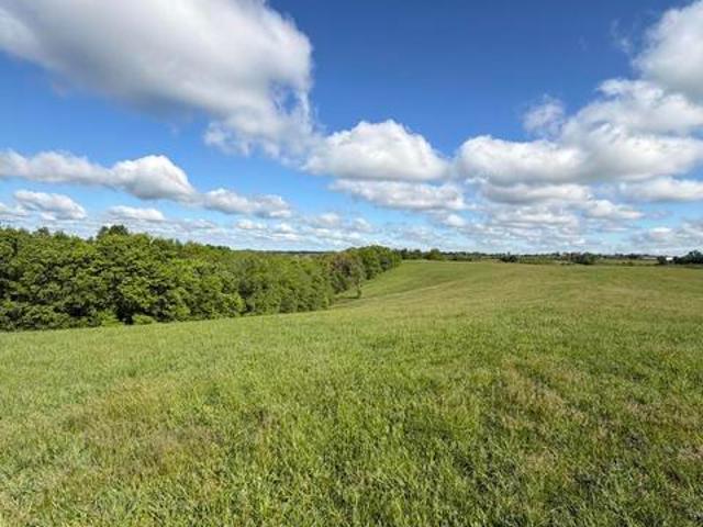 Land for sale in Williamstown, Kentucky