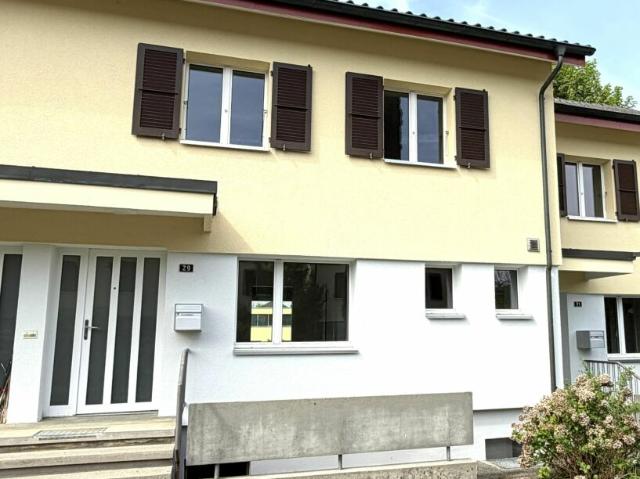 Reihenfamilienhaus kaufen in Usserdorf, Buchs (AG)
