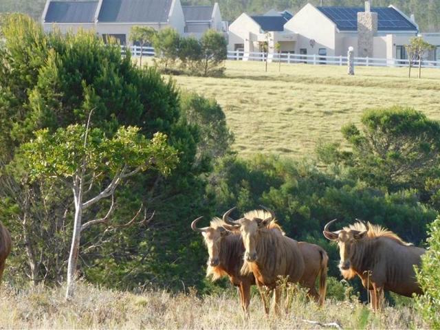 Property for sale in Cape St Francis, Eastern Cape