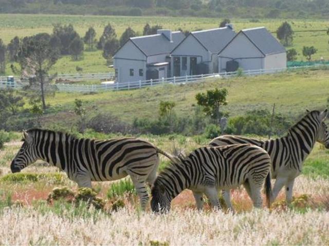 Property for sale in Cape St Francis, Eastern Cape