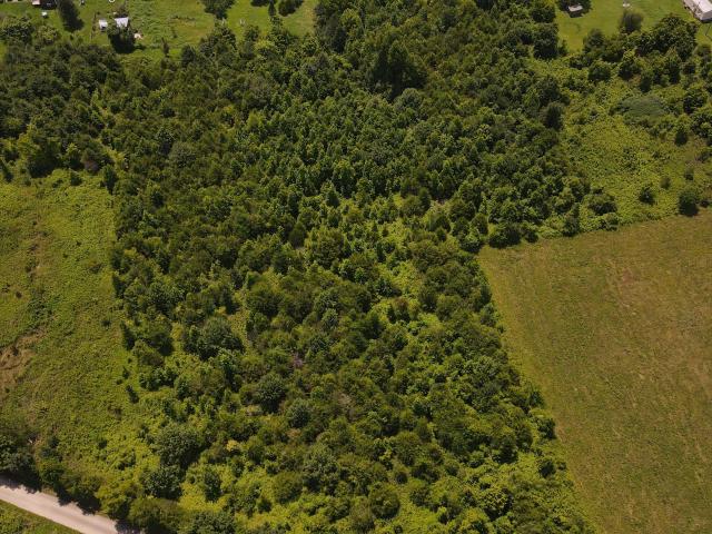 Land for sale in Tennessee