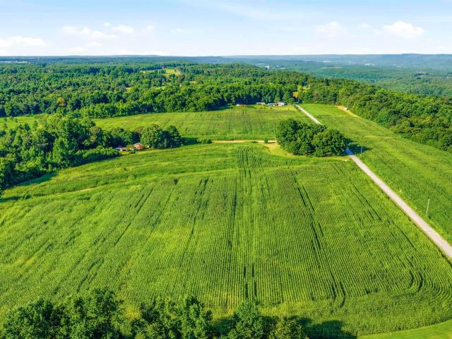 Land for sale in Collinsville, Alabama