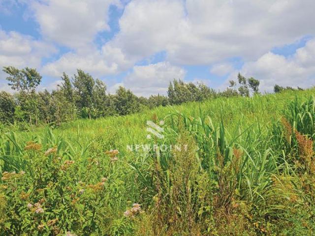 Land for sale in Limuru, Tigoni