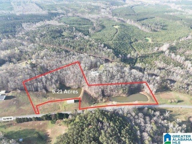 Land for sale in Roanoke, Alabama