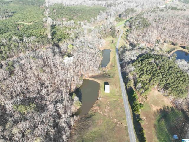 Land for sale in Roanoke, Alabama