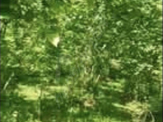 Giresun içerisinde satılık mülk