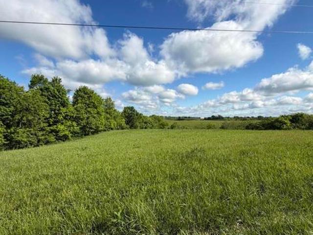 Land for sale in Williamstown, Kentucky