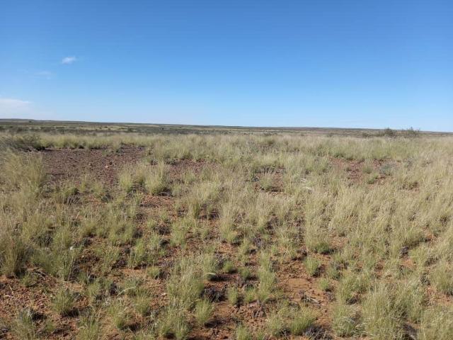 Property for sale in Hantam, Northern Cape
