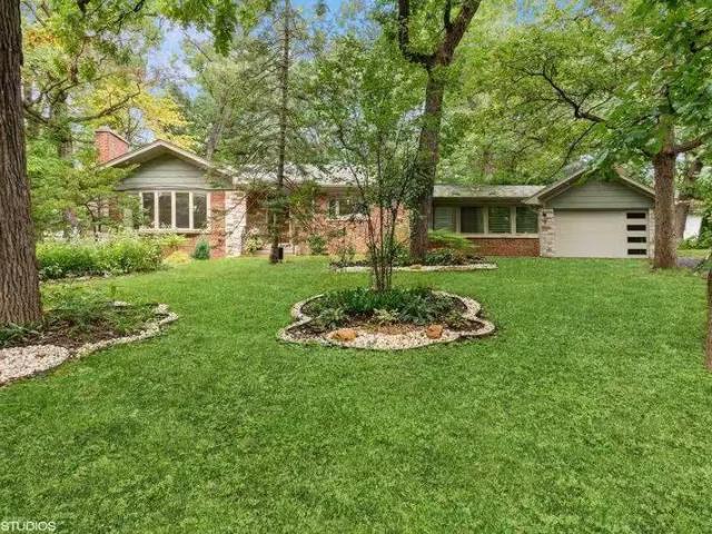 House for rent in Bedford Park
