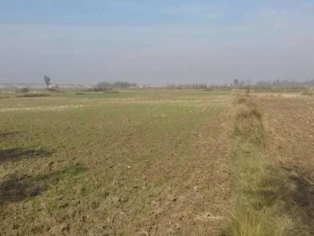 Land for sale in Swabi, North West Frontier Province