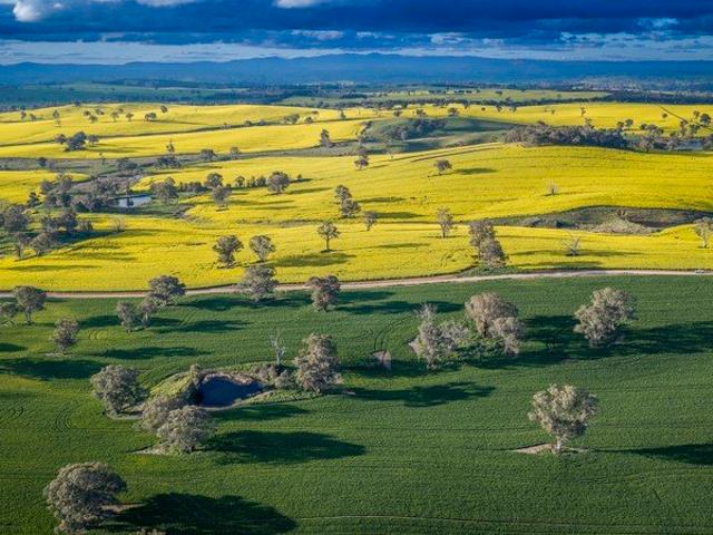Cottage for sale in Lyndhurst, Blayney Shire Council
