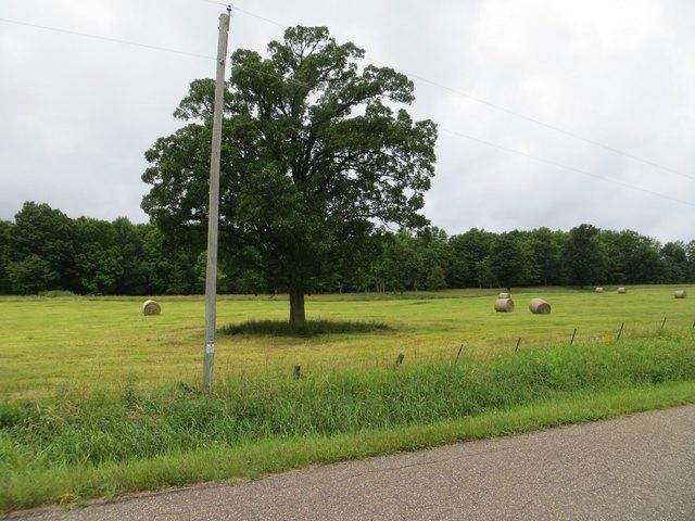 Land for sale in Stanley, Wisconsin
