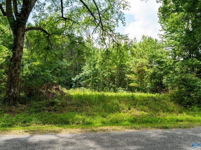 Land for sale in Guntersville, Alabama