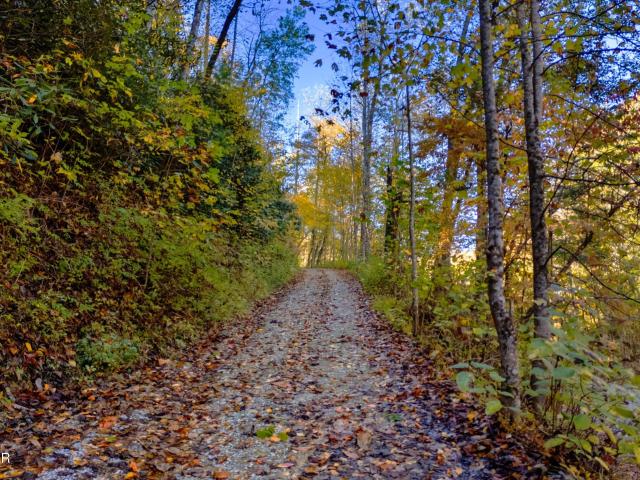 Land for sale in Tennessee