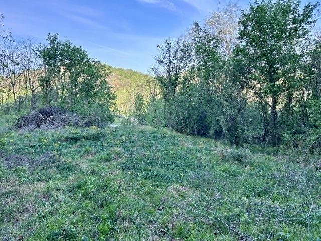 Land for sale in Lavalette, West Virginia
