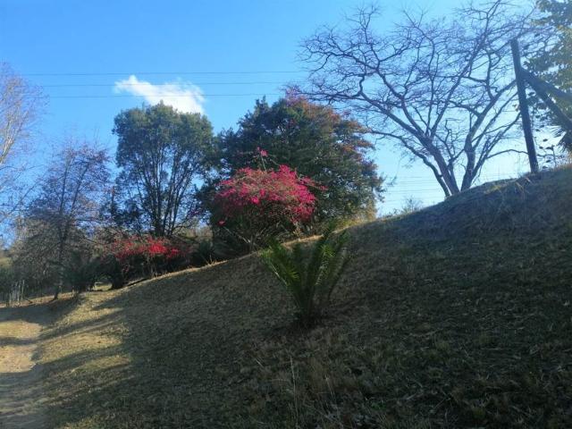 Farm for sale in Umgungundlovu, Kwazulu-natal