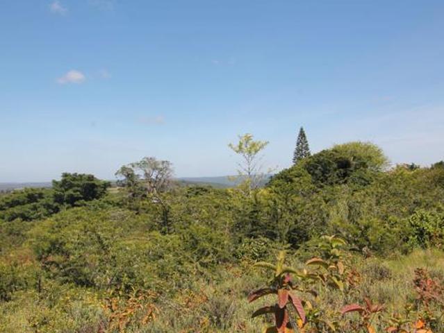 Property for sale in Bushmans River Mouth, Eastern Cape