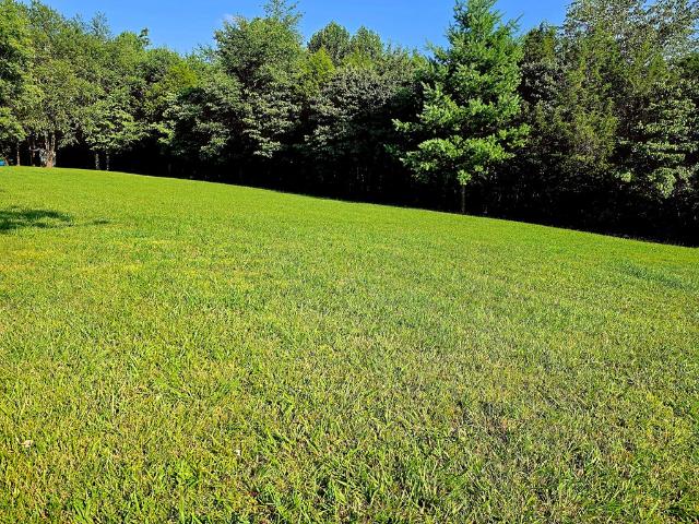 Land for sale in Tennessee