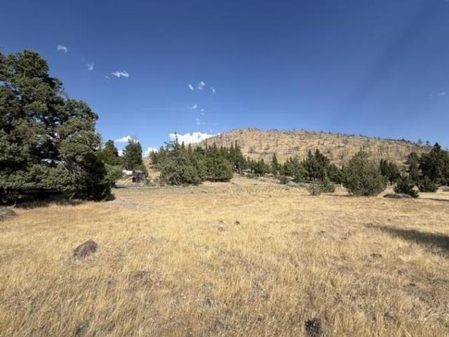 Land for sale in Weed, California