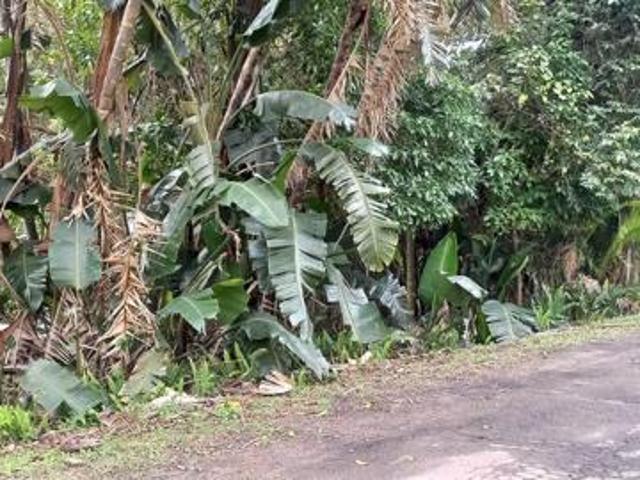 Property for sale in Southbroom, Hibiscus Coast Local Municipality