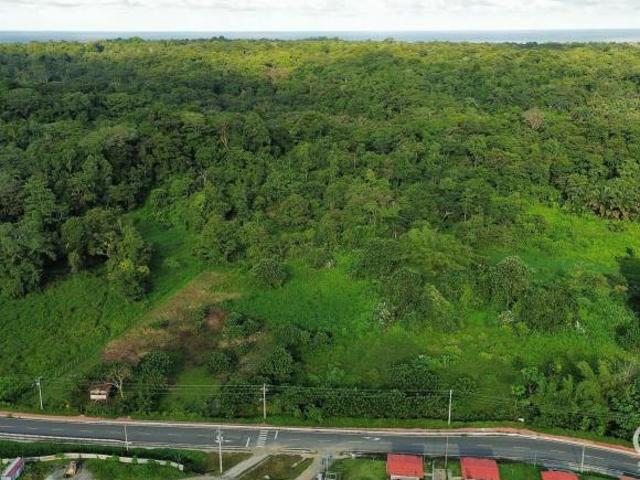 Gran Oferta! 5.45 Hectáreas De Terreno En Venta En Bocas Del Drago, Isla Colón Bocas Del Toro