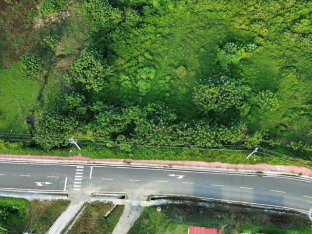 Gran Oferta! 5.45 Hectáreas De Terreno En Venta En Bocas Del Drago, Isla Colón Bocas Del Toro