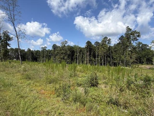 Farm for sale in Columbia, Mississippi