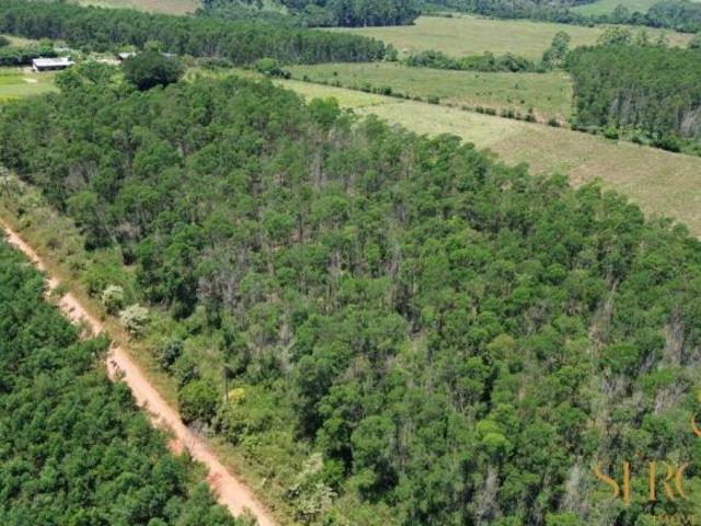 Sítio e chácara venda em Região Geográfica Imediata de Charqueadas - Triunfo - São Jerônimo, Região Metropolitana de Porto Alegre