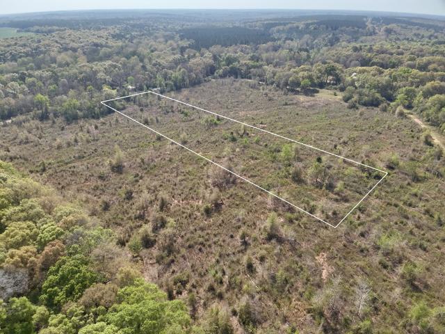Land for sale in Geneva, Alabama