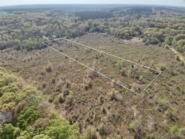 Land for sale in Geneva, Alabama