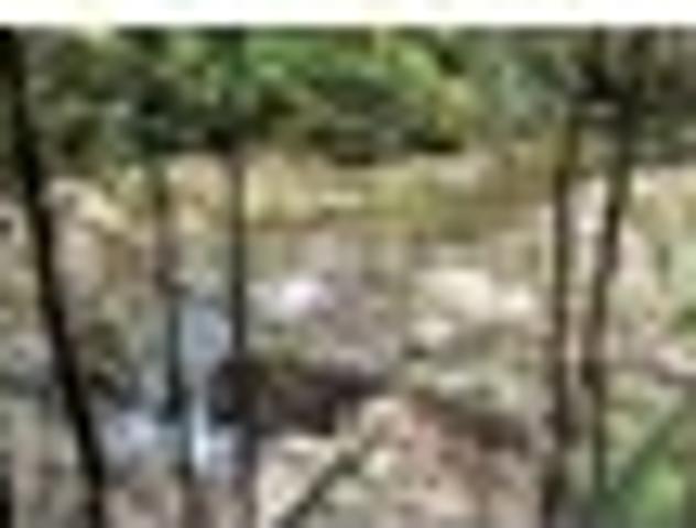 Land for sale in Whangarei, Northland