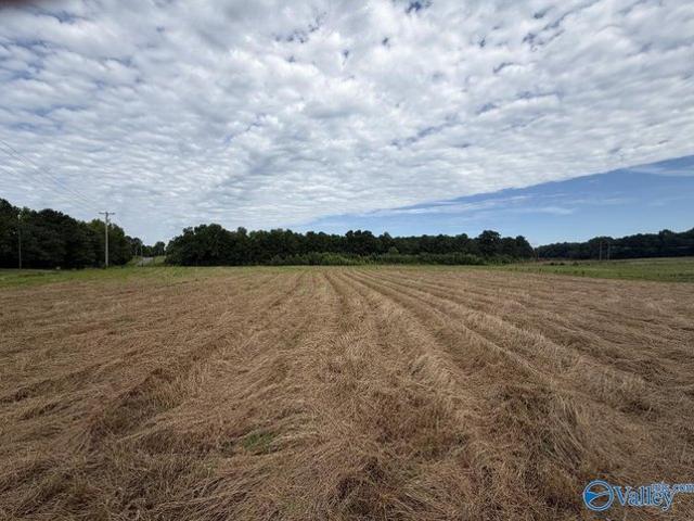 Land for sale in Guntersville, Alabama