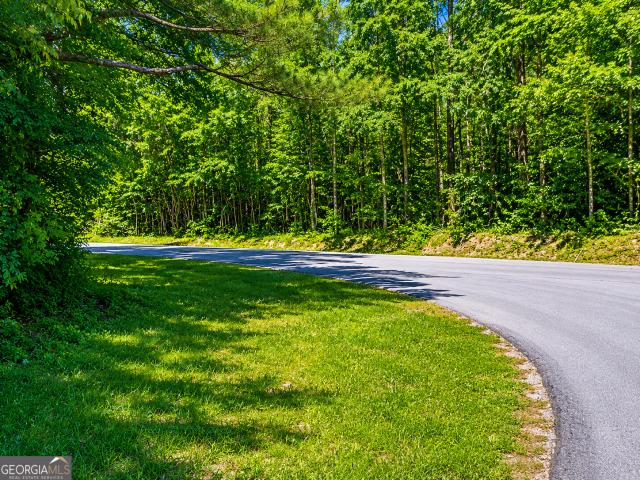 Land for sale in Georgia