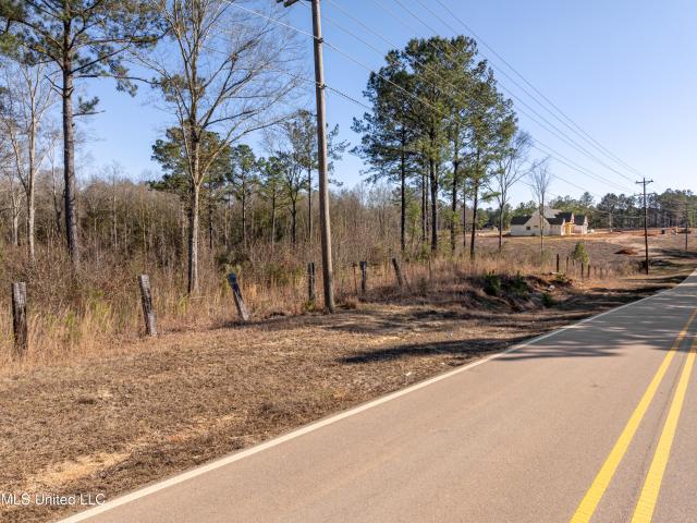 Land for sale in Petal, Mississippi