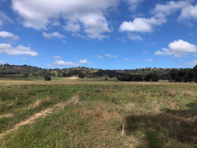 Land for sale in Cootamundra, New South Wales