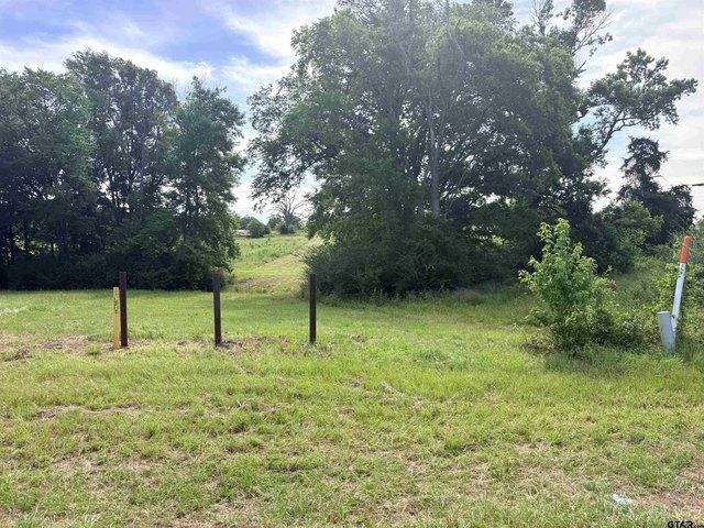 Land for sale in Smith, Texas