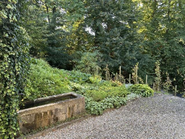 Einfamilienhaus kaufen in Hünenberg, Zug