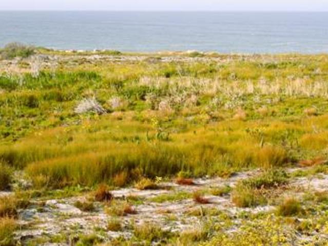 Land for sale in Western Cape