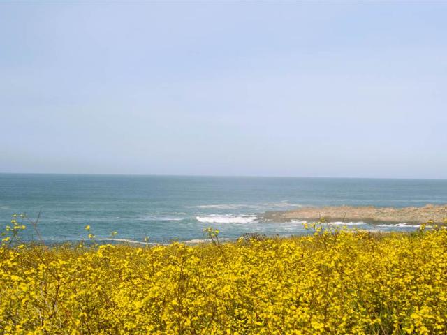 Land for sale in Western Cape