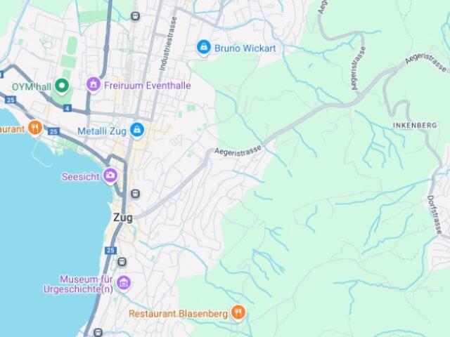 Wohnung kaufen in Zug