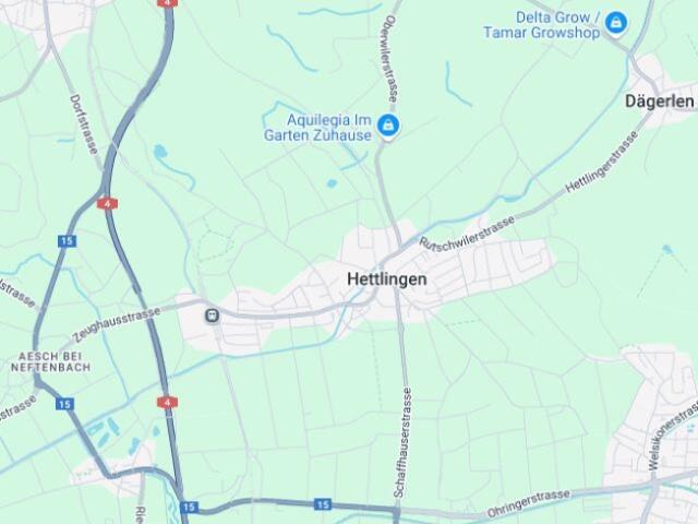 Wohnung kaufen in Hettlingen, Zürich