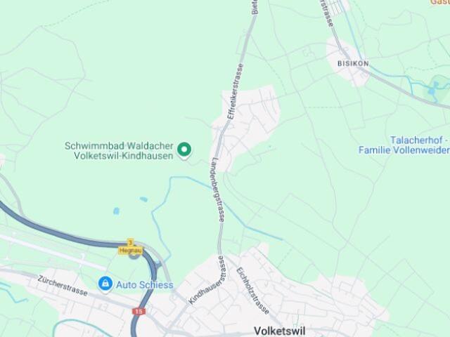 Wohnung kaufen in Volketswil, Zürich