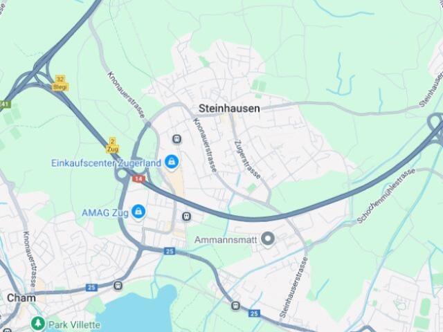 Wohnung kaufen in Steinhausen