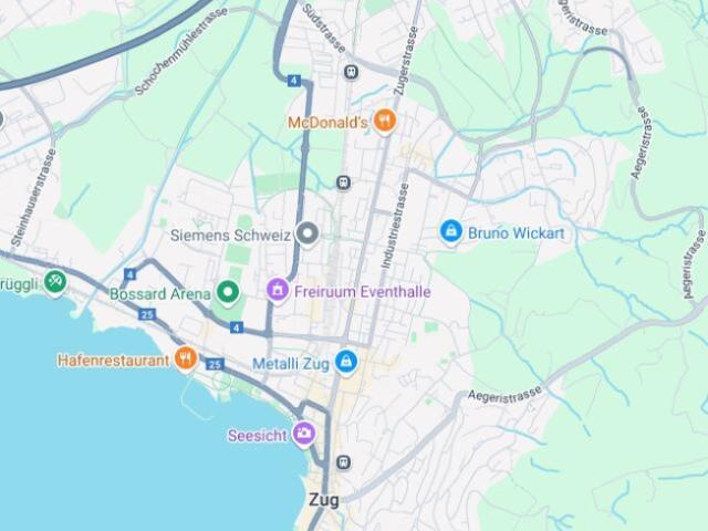 Wohnung kaufen in Zug