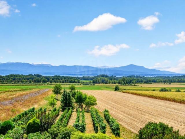 Wohnung kaufen in Gland, District de Nyon
