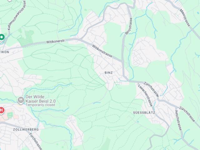 Wohnung kaufen in Binz, Zürich